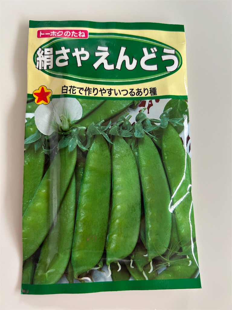f:id:hana-pippy:20241031154221j:image