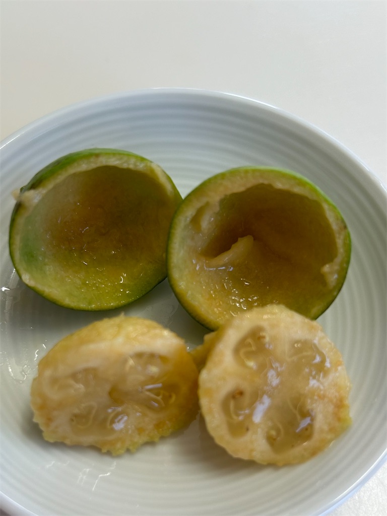 f:id:hana-pippy:20241122213253j:image