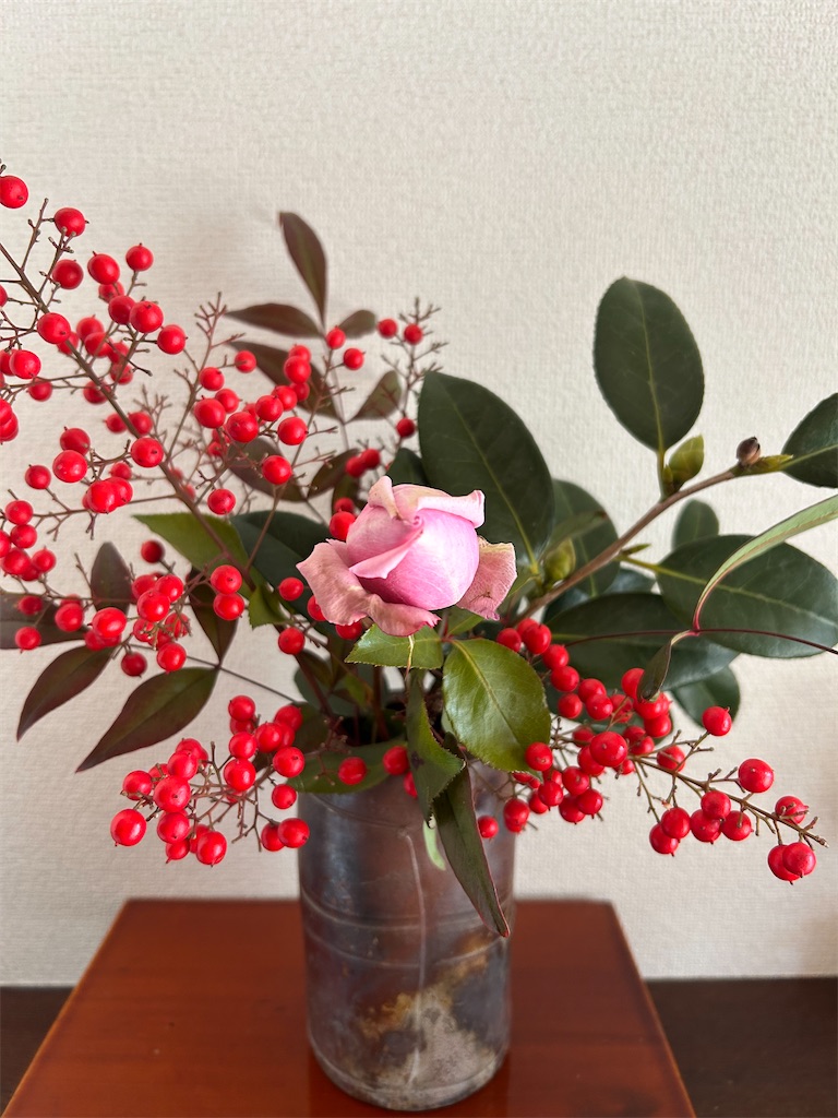 f:id:hana-pippy:20250109143348j:image
