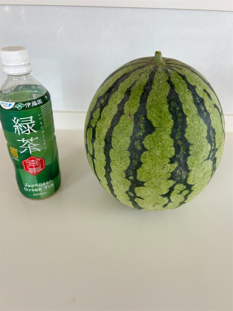 f:id:hana-pippy:20250820131430j:image