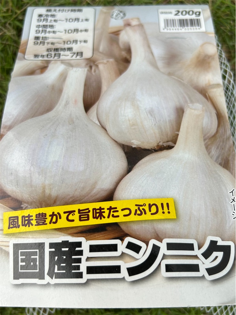 f:id:hana-pippy:20250930204307j:image