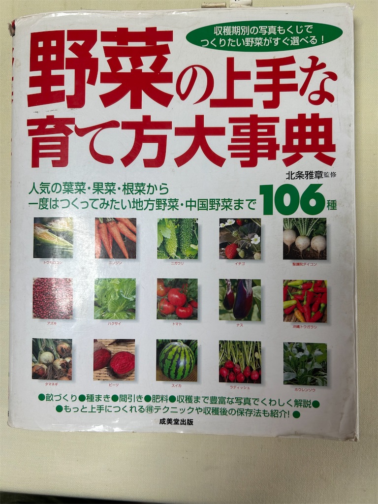 f:id:hana-pippy:20251012170022j:image