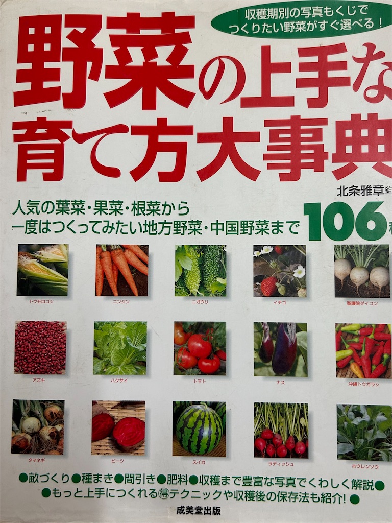 f:id:hana-pippy:20251121200709j:image