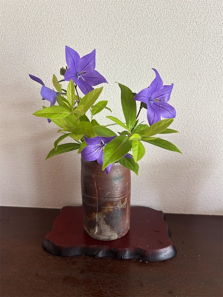 f:id:hana-pippy:20260623162845j:image