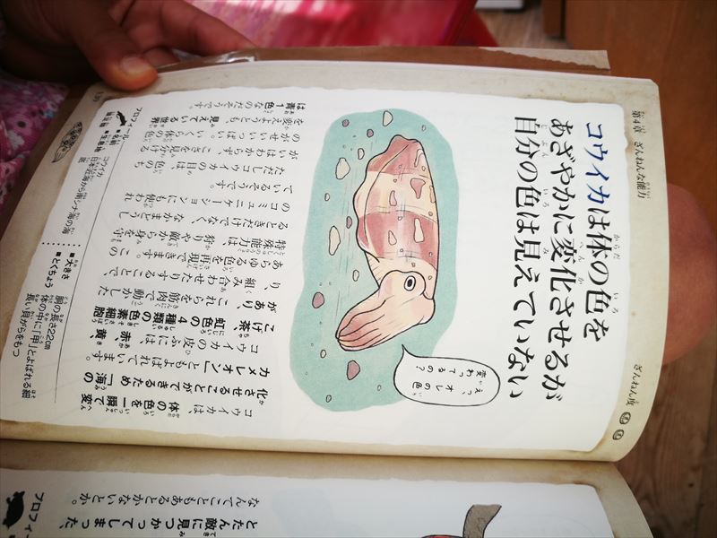 f:id:hana-smile:20161203112231j:plain f:id:hana-smile:20161203112231j:plain