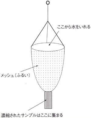 f:id:hana-smile:20180407165458j:plain f:id:hana-smile:20180407165458j:plain
