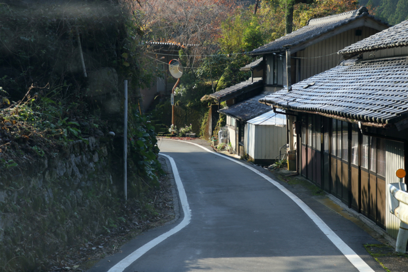 f:id:hana-tabi-ki:20171122200258j:plain f:id:hana-tabi-ki:20171122200258j:plain