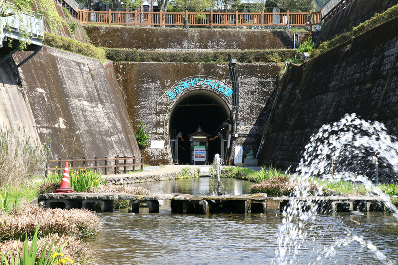 f:id:hana-tabi-ki:20180913150232j:plain f:id:hana-tabi-ki:20180913150232j:plain