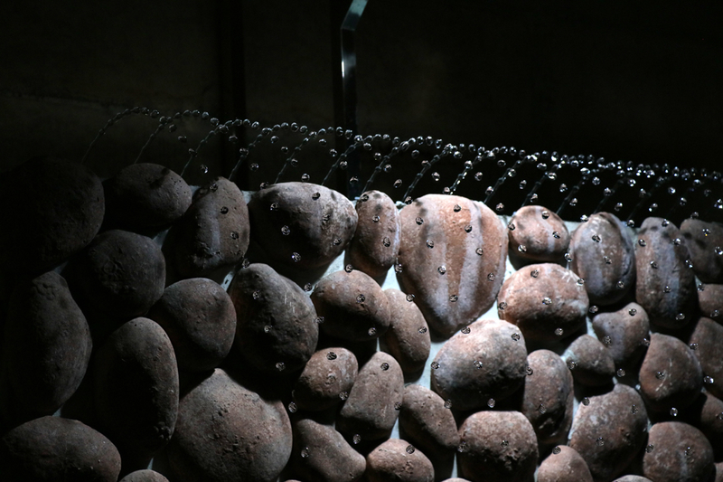 f:id:hana-tabi-ki:20180913150238j:plain f:id:hana-tabi-ki:20180913150238j:plain