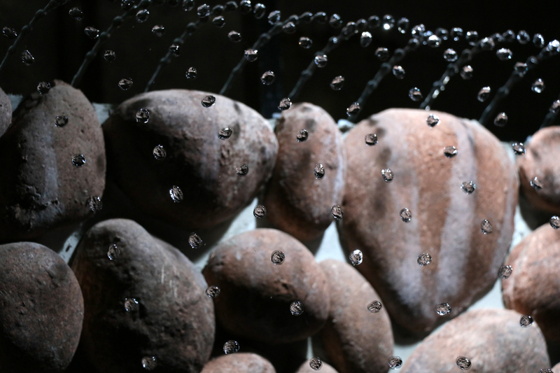 f:id:hana-tabi-ki:20180913150239j:plain f:id:hana-tabi-ki:20180913150239j:plain