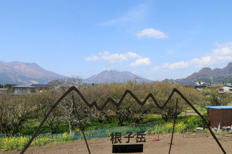 f:id:hana-tabi-ki:20180913150244j:plain f:id:hana-tabi-ki:20180913150244j:plain