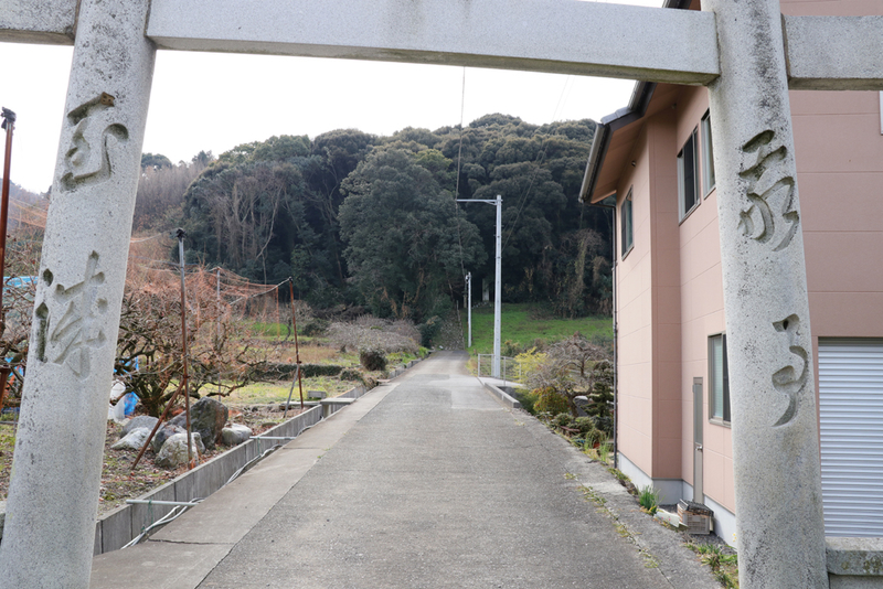 f:id:hana-tabi-ki:20181214123141j:plain