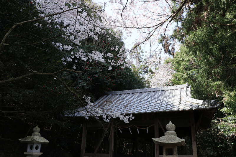 f:id:hana-tabi-ki:20181217141614j:plain