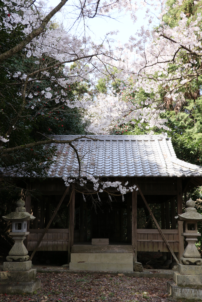f:id:hana-tabi-ki:20181217193850j:plain