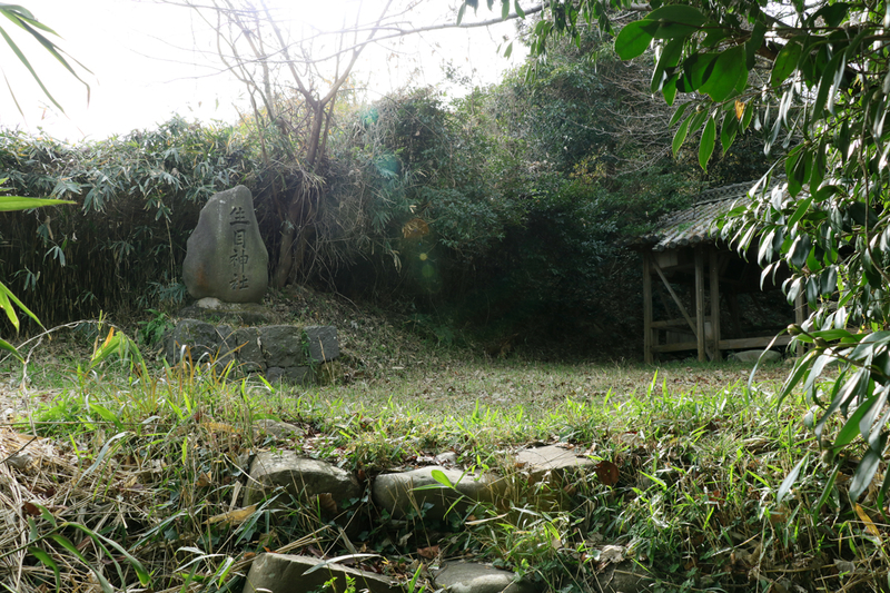 f:id:hana-tabi-ki:20181221182631j:plain
