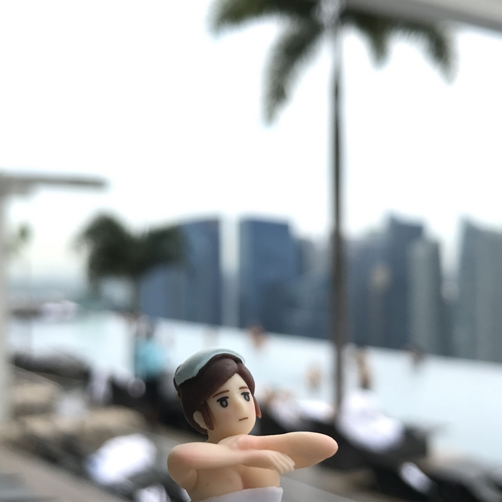 f:id:hana-trip:20180625091915j:plain