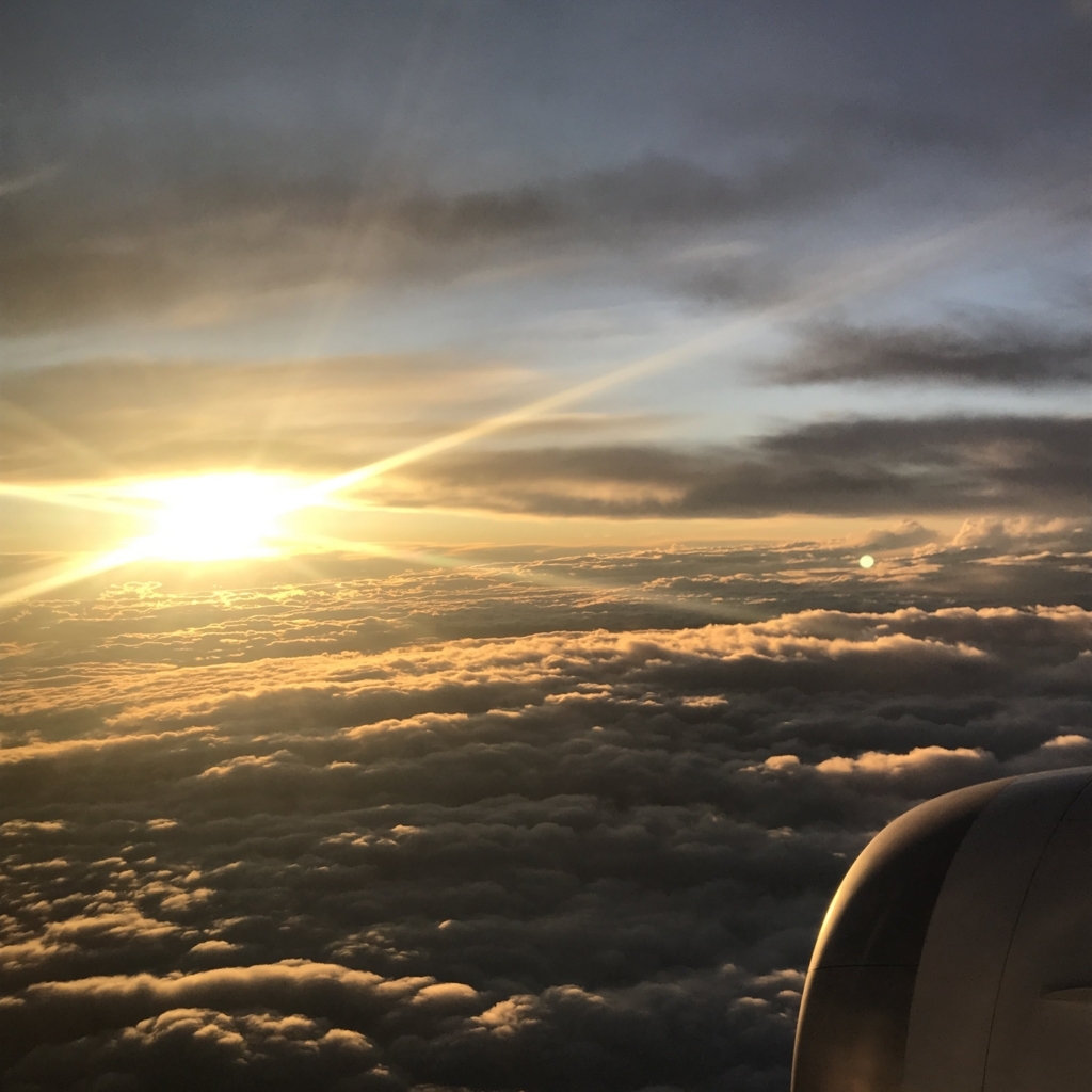 f:id:hana-trip:20180629012004j:plain