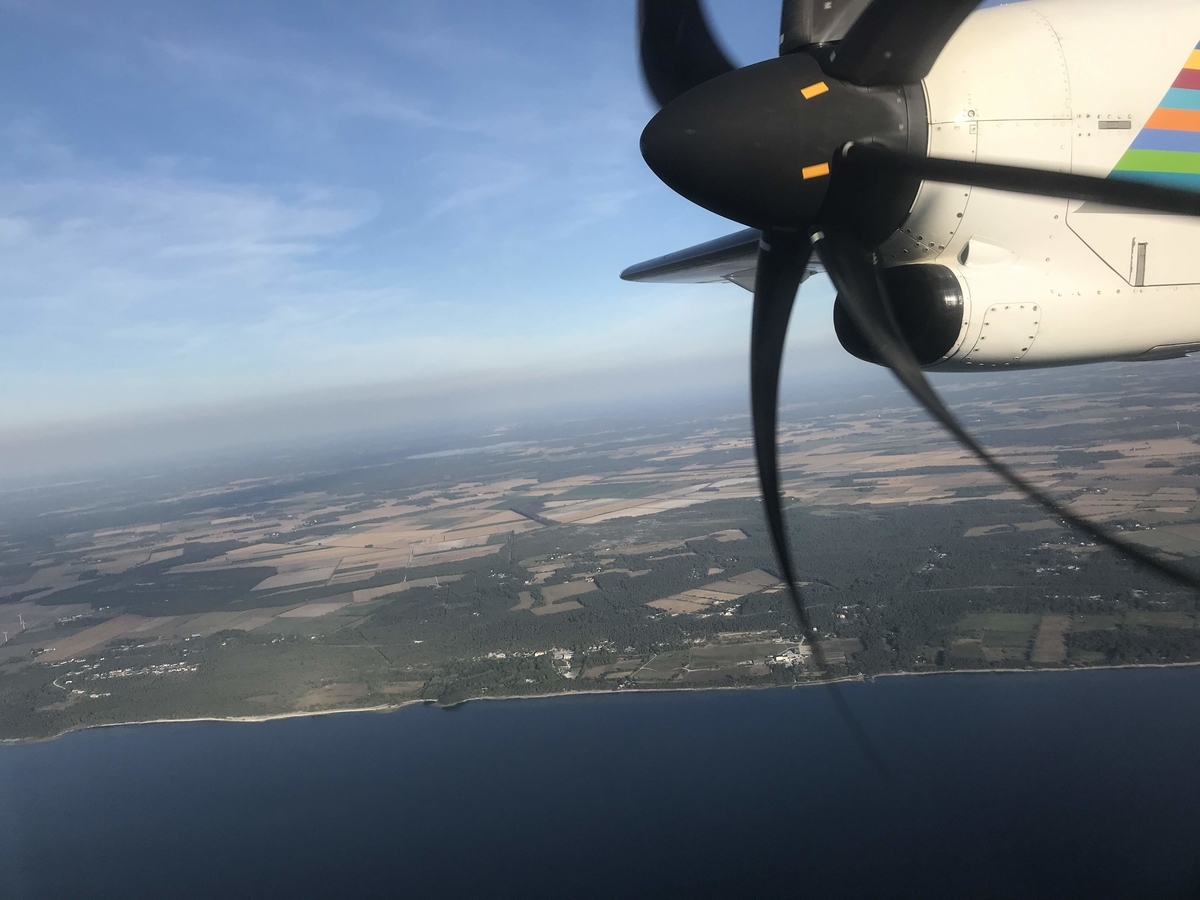 f:id:hana-trip:20191026172818j:plain