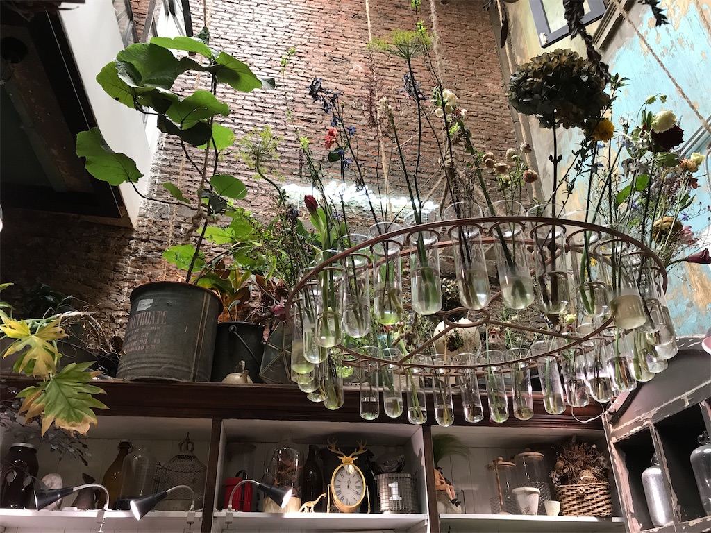 f:id:hana-trip:20200112213052j:image f:id:hana-trip:20200112213052j:image