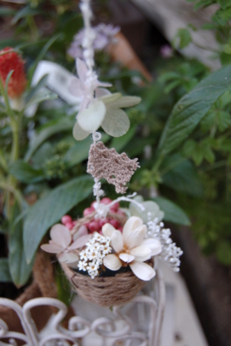 f:id:hana-zakka:20110801165922j:image:w360:left f:id:hana-zakka:20110801165922j:image:w360:left