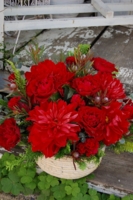 f:id:hana-zakka:20111029101015j:image:w360