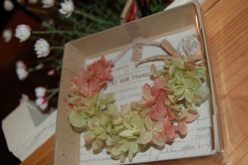 f:id:hana-zakka:20120305190310j:image:w360