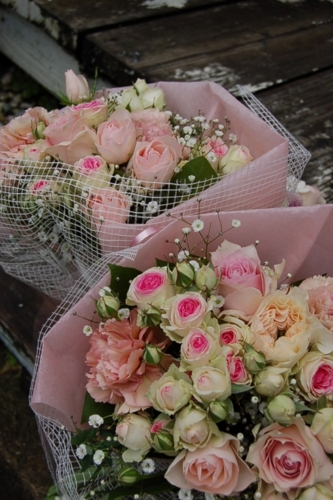 f:id:hana-zakka:20120324074346j:image:w360