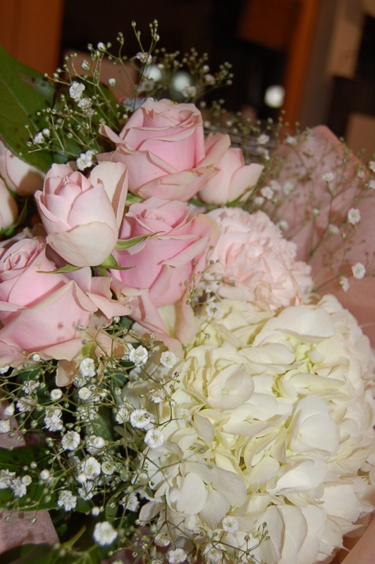 f:id:hana-zakka:20120427194703j:image:w360