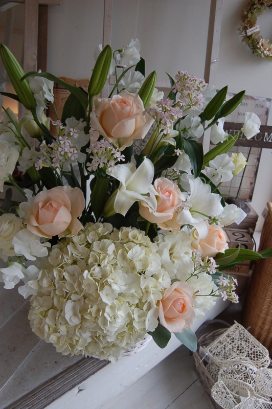 f:id:hana-zakka:20130219110554j:image:w360