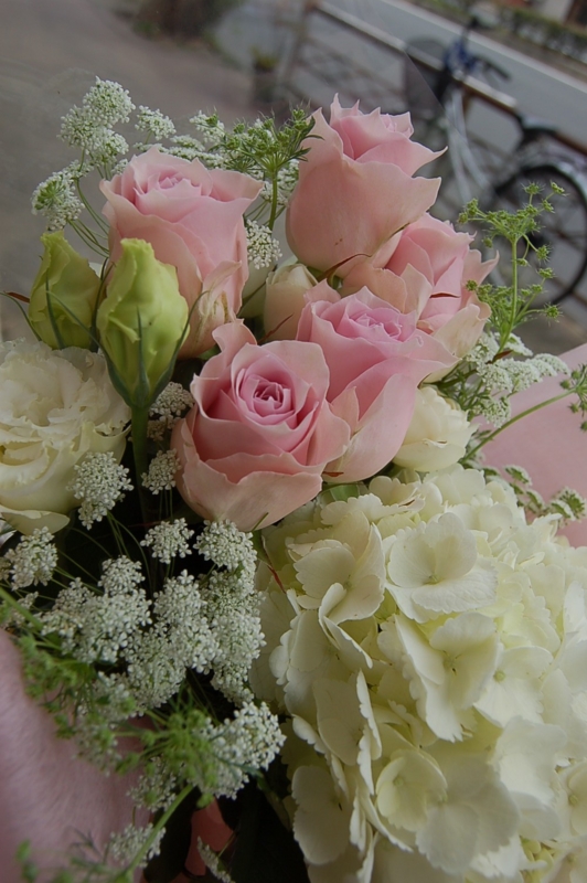 f:id:hana-zakka:20130302161318j:image:w360