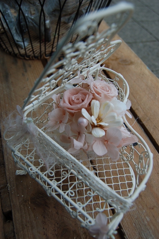 f:id:hana-zakka:20131117150928j:image:w360