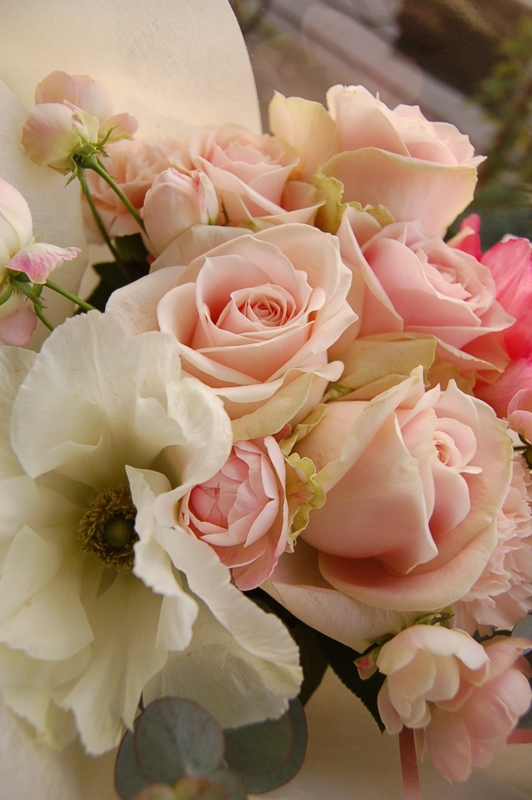 f:id:hana-zakka:20131119124152j:image:w360 f:id:hana-zakka:20131119124152j:image:w360