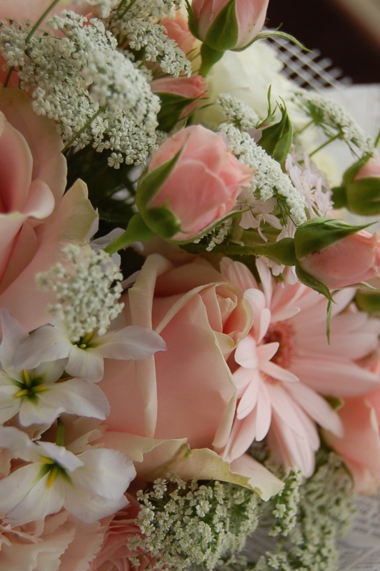 f:id:hana-zakka:20140326165753j:image:w360 f:id:hana-zakka:20140326165753j:image:w360