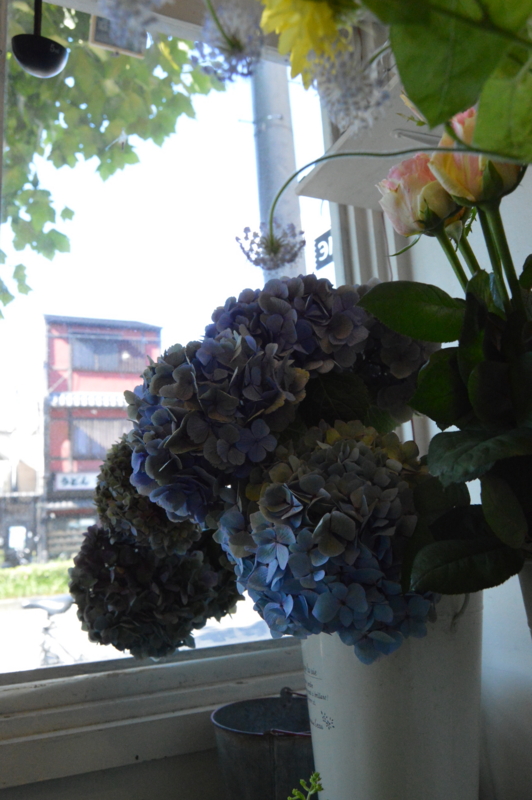 f:id:hana-zakka:20150720155411j:image:w360 f:id:hana-zakka:20150720155411j:image:w360