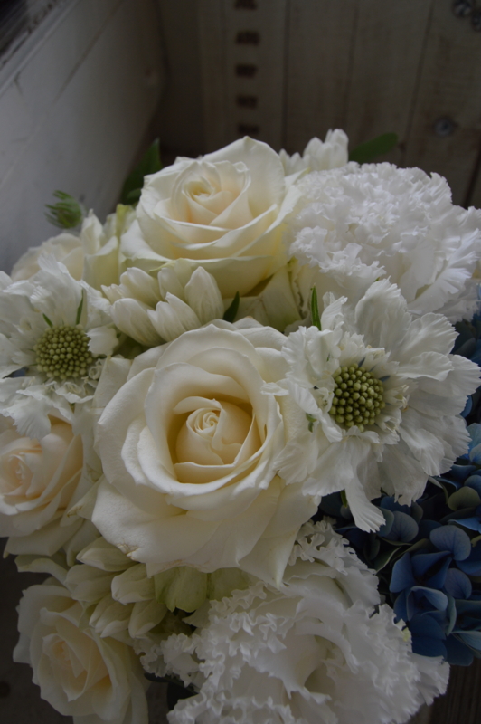 f:id:hana-zakka:20160809140028j:image:w360 f:id:hana-zakka:20160809140028j:image:w360