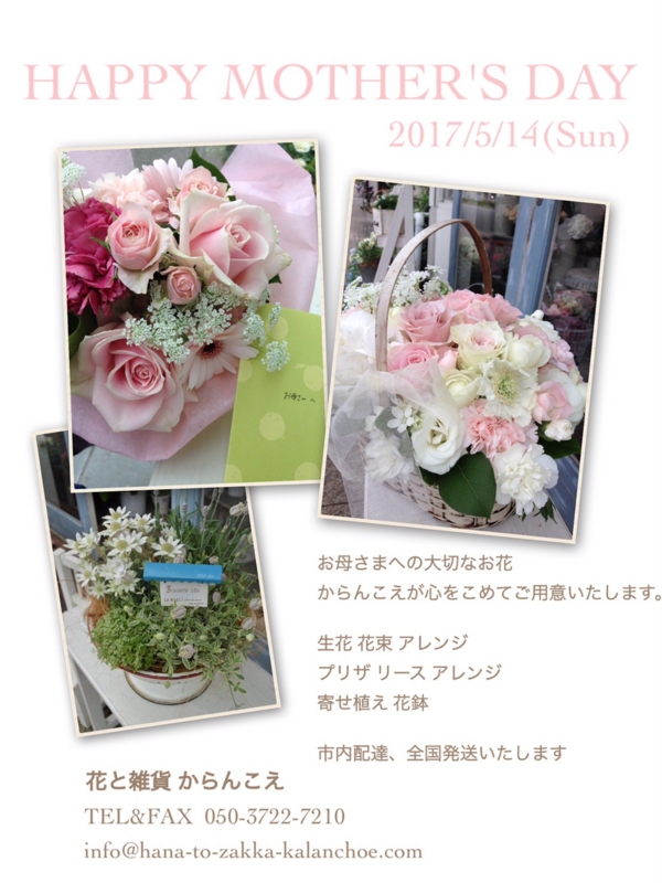 f:id:hana-zakka:20170502165857j:image:w360