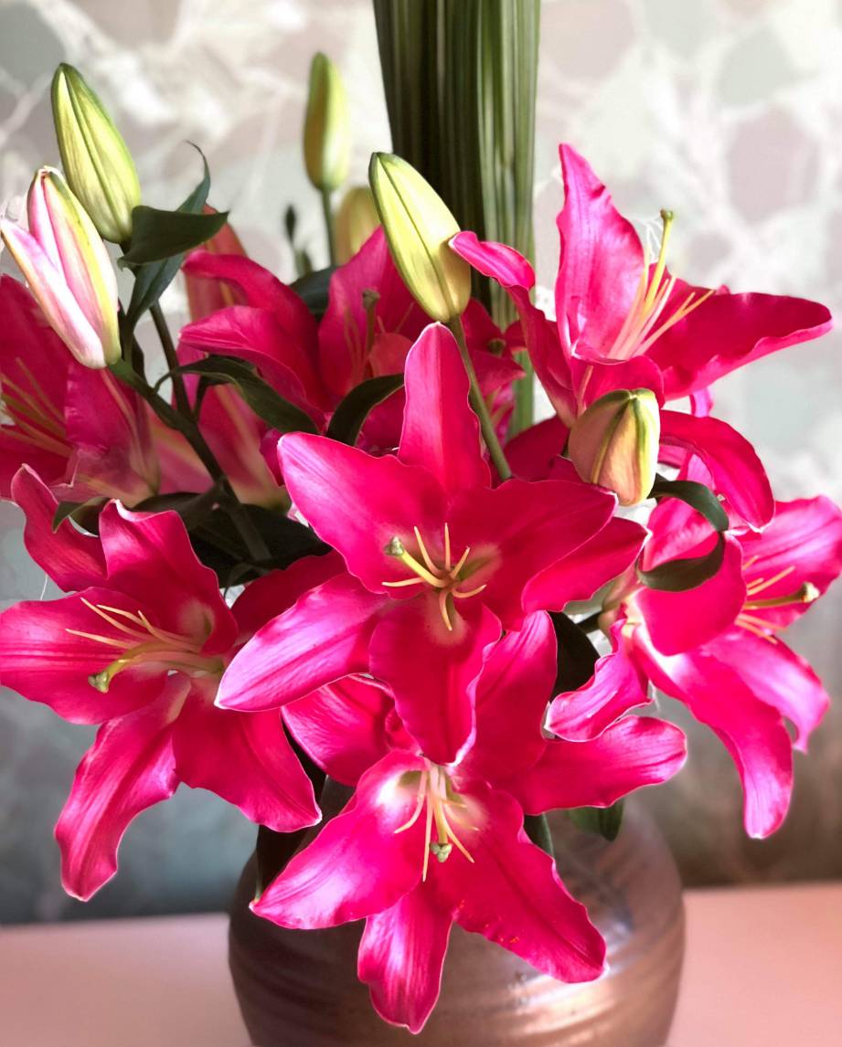 f:id:hana01210121:20181024091257j:plain f:id:hana01210121:20181024091257j:plain