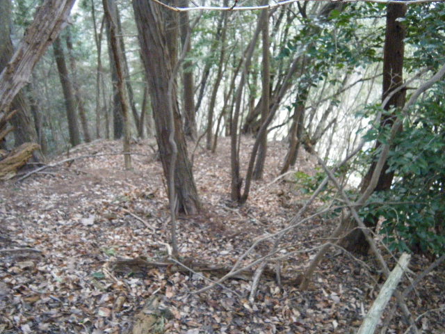 イメージ 14