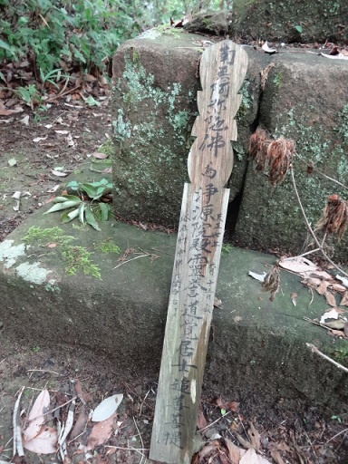 イメージ 11