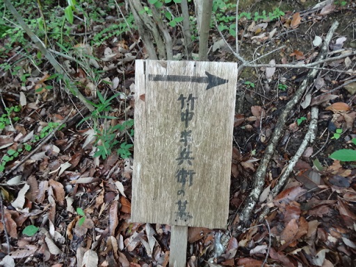 イメージ 5