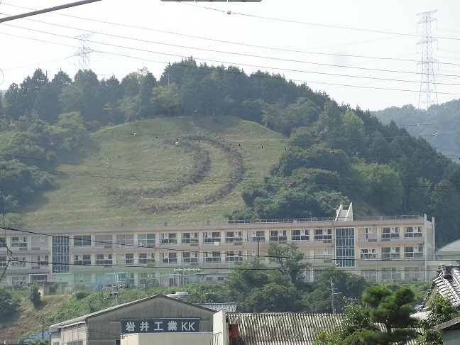 イメージ 8