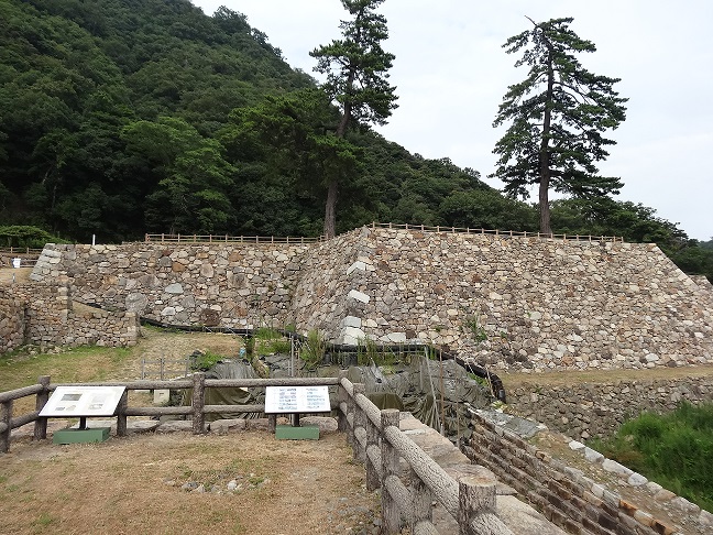 イメージ 14