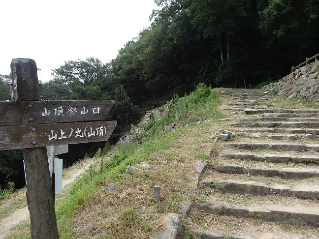 イメージ 17