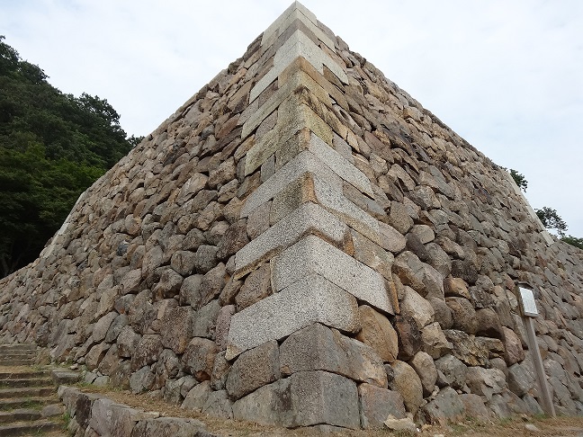 イメージ 8