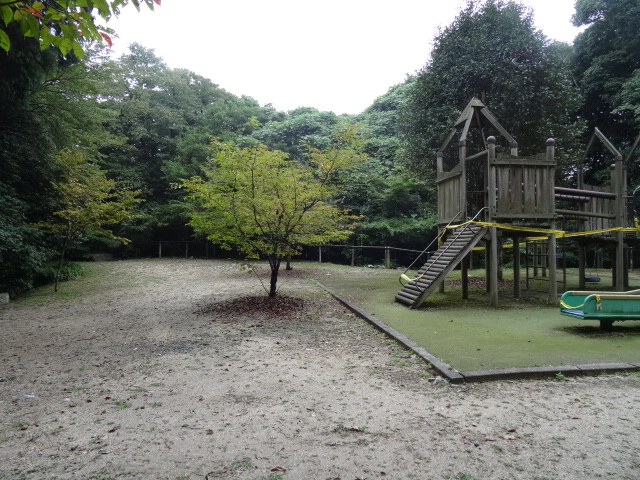 イメージ 9