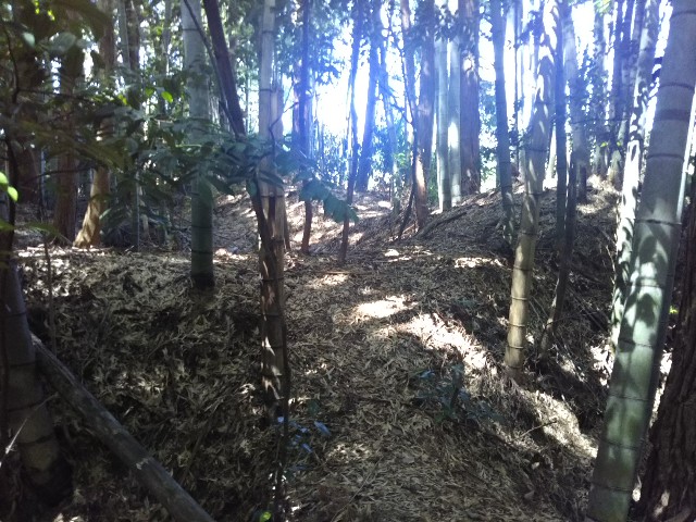 f:id:hana08090507:20190910232211j:image f:id:hana08090507:20190910232211j:image