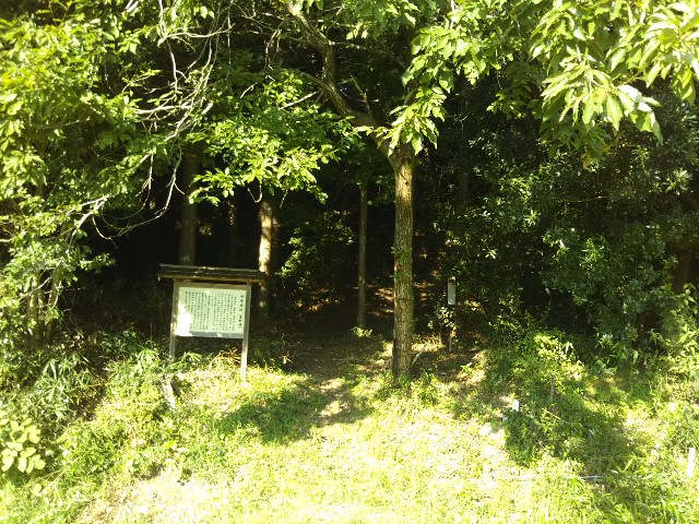 f:id:hana08090507:20190910232436j:image f:id:hana08090507:20190910232436j:image