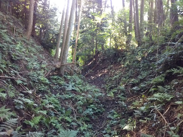 f:id:hana08090507:20190910232507j:image f:id:hana08090507:20190910232507j:image