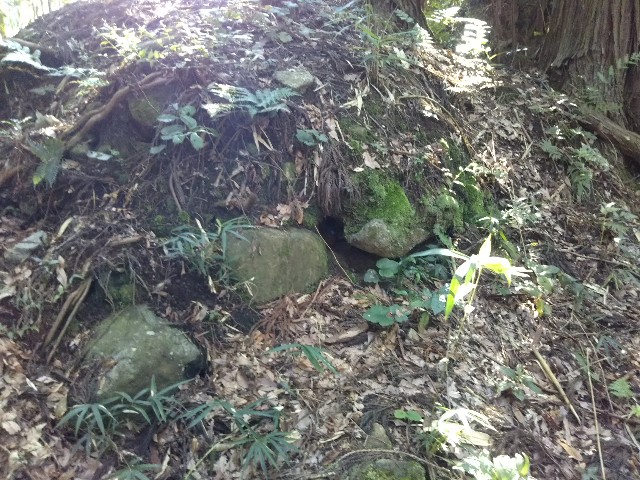 f:id:hana08090507:20190910232526j:image f:id:hana08090507:20190910232526j:image