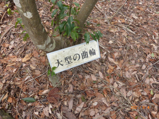 f:id:hana08090507:20210410215921j:plain